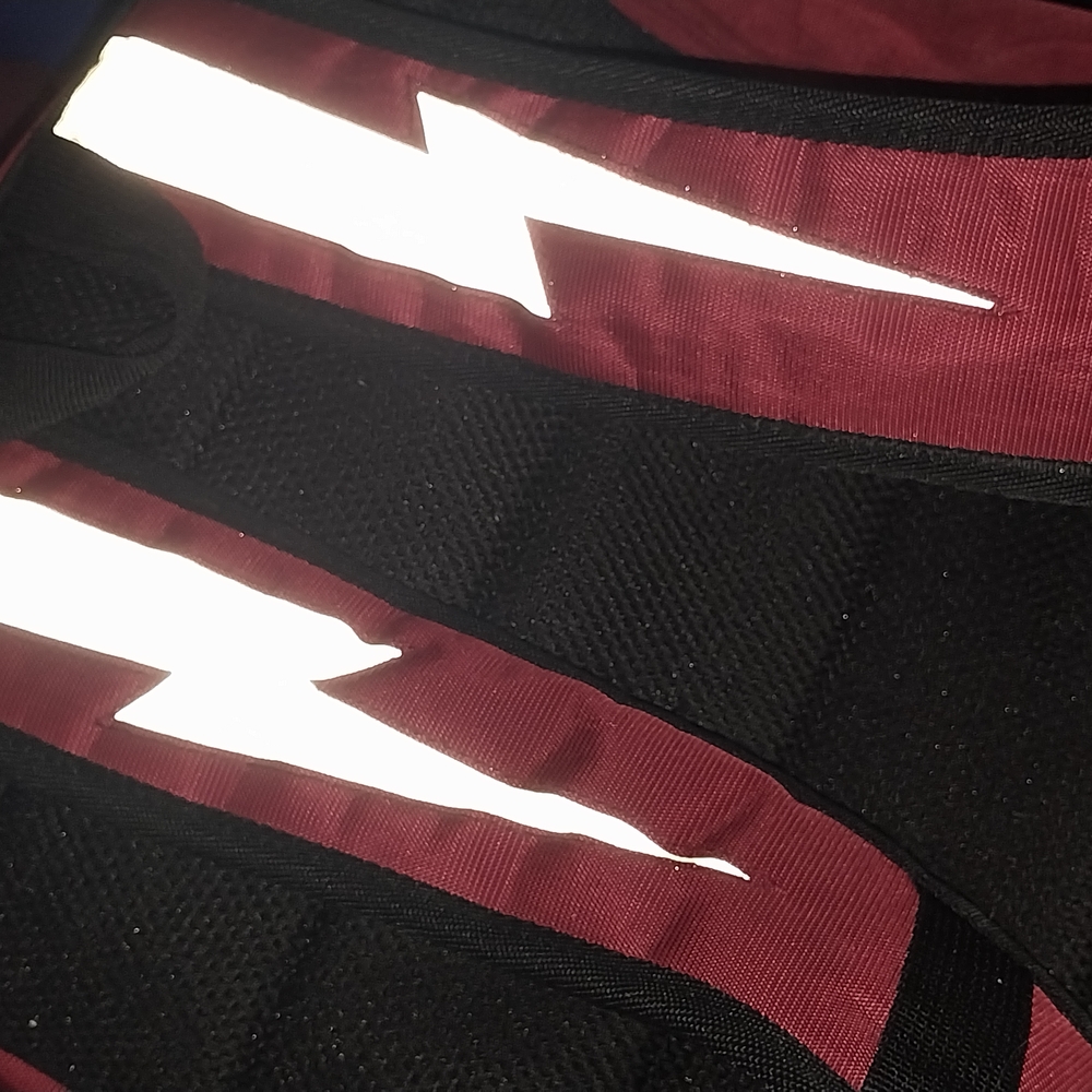 Red Flash Backpack - Picture 2 of 4